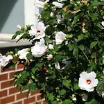 Feriehus In Mit Schoenem Garten By Interhome Storkow (Mark)