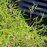 In Mit Schoenem Garten By Interhome