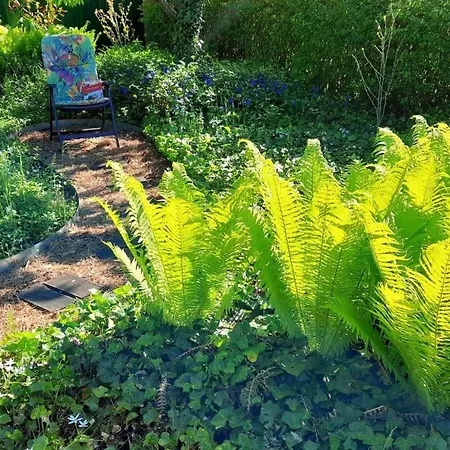 Сasa de vacaciones In Mit Schoenem Garten By Interhome Storkow (Mark)