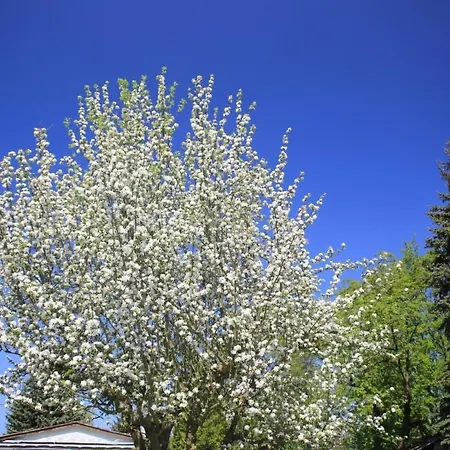 In Mit Schoenem Garten By Interhome Сasa de vacaciones Storkow (Mark)