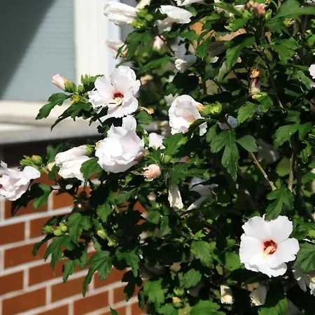 Holiday home In Mit Schoenem Garten By Interhome Storkow (Mark)