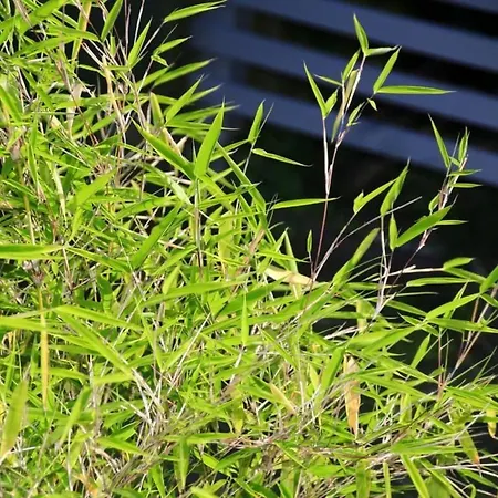 In Mit Schoenem Garten By Interhome