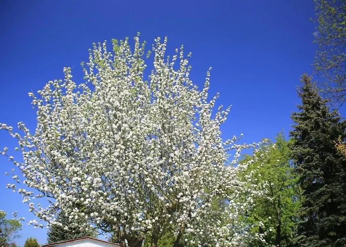 In Mit Schoenem Garten By Interhome Сasa de vacaciones Storkow (Mark)