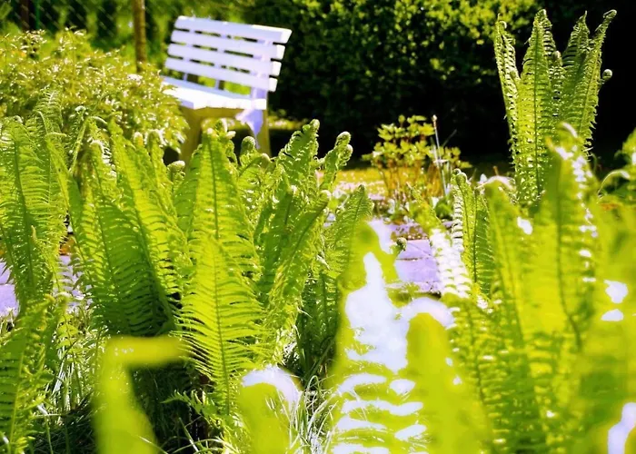 Сasa de vacaciones In Mit Schoenem Garten By Interhome *