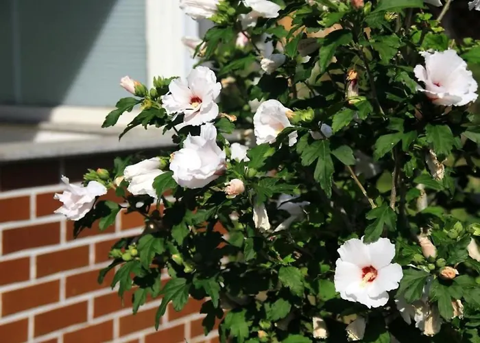 Сasa de vacaciones In Mit Schoenem Garten By Interhome Storkow (Mark)