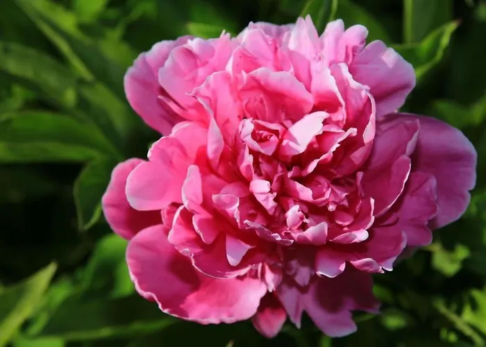 In Mit Schoenem Garten By Interhome * Storkow (Mark)